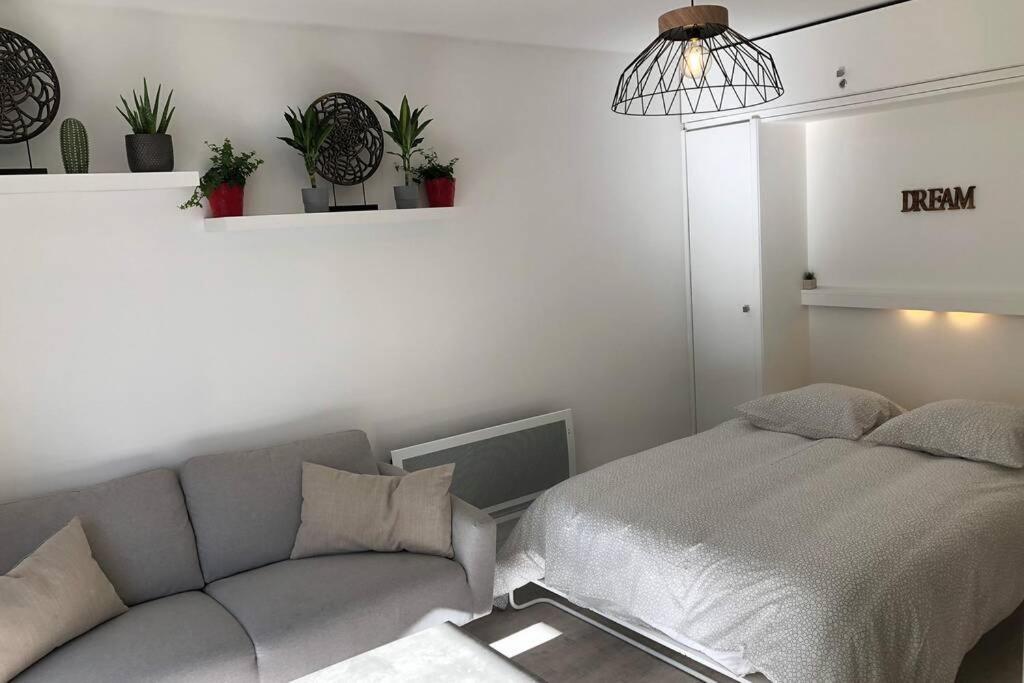 Grand Studio Cabine 30 M² Centre Ville, Refait A Neuf Pour Vous ! Climatise Λα Γκραντ-Μοτ Εξωτερικό φωτογραφία