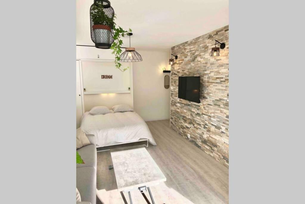 Grand Studio Cabine 30 M² Centre Ville, Refait A Neuf Pour Vous ! Climatise Λα Γκραντ-Μοτ Εξωτερικό φωτογραφία