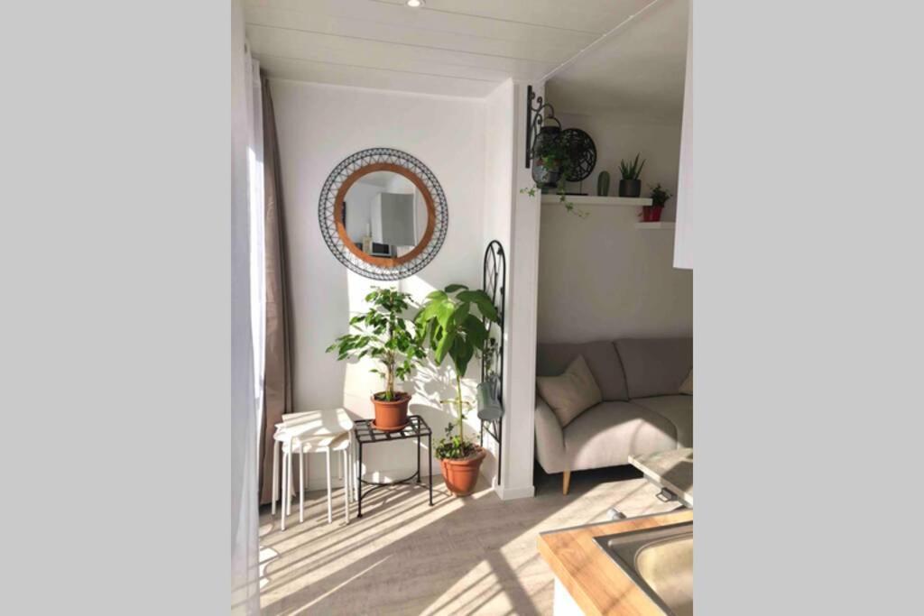 Grand Studio Cabine 30 M² Centre Ville, Refait A Neuf Pour Vous ! Climatise Λα Γκραντ-Μοτ Εξωτερικό φωτογραφία
